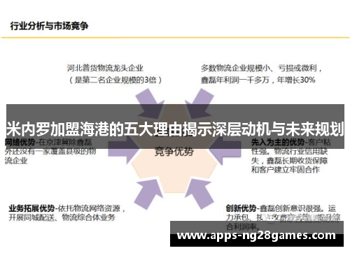 米内罗加盟海港的五大理由揭示深层动机与未来规划